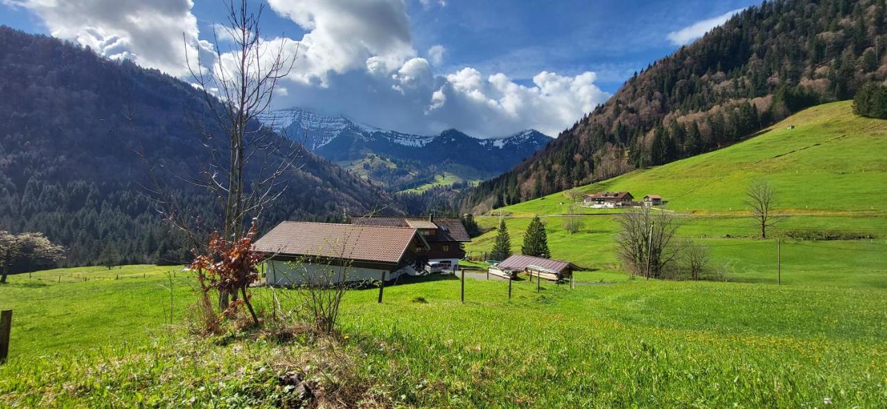 Fewo Allgaeuzeit Mit Wlan Oberstaufen Steibis Esterno foto