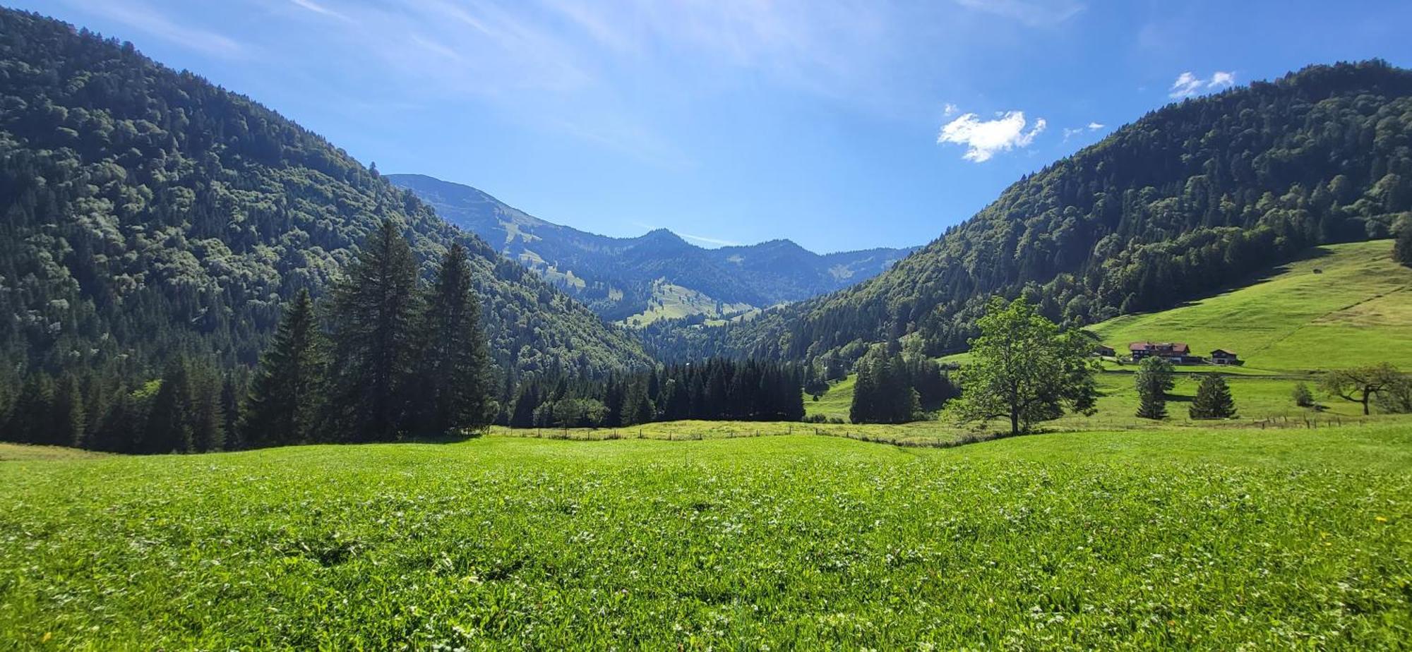 Fewo Allgaeuzeit Mit Wlan Oberstaufen Steibis Esterno foto